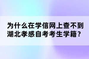 為什么在學信網(wǎng)上查不到湖北孝感自考考生學籍？