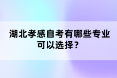 湖北孝感自考有哪些專業(yè)可以選擇？