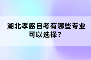 湖北孝感自考有哪些專業(yè)可以選擇？