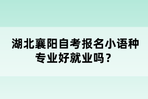 湖北襄陽(yáng)自考報(bào)名小語(yǔ)種專業(yè)好就業(yè)嗎？