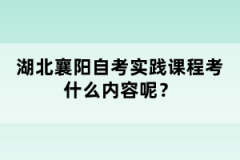 湖北襄陽自考實踐課程考什么內(nèi)容呢？