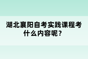 湖北襄陽自考實踐課程考什么內(nèi)容呢？