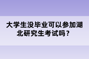 大學(xué)生沒(méi)畢業(yè)可以參加湖北研究生考試嗎？