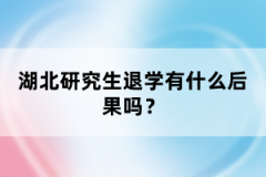 湖北研究生退學有什么后果嗎？