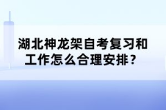 湖北神龍架自考復(fù)習(xí)和工作怎么合理安排？