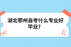 湖北鄂州自考什么專業(yè)好畢業(yè)？