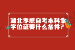 湖北孝感自考本科拿學位證要什么條件？