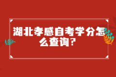 湖北孝感自考學(xué)分怎么查詢？