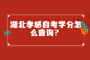 湖北孝感自考學(xué)分怎么查詢？