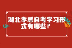 湖北孝感自考學習形式有哪些？