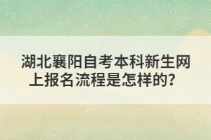 湖北襄陽自考本科新生網(wǎng)上報名流程是怎樣的？