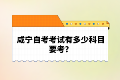 咸寧自考考試有多少科目要考？