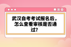 武漢自考考試報名后，怎么查看審核是否通過？