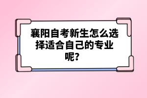 襄陽自考新生怎么選擇適合自己的專業(yè)呢？