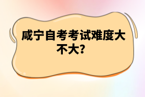 咸寧自考考試難度大不大？