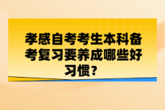 孝感自考考生本科備考復習要養(yǎng)成哪些好習慣？