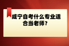 咸寧自考什么專業(yè)適合當(dāng)老師？