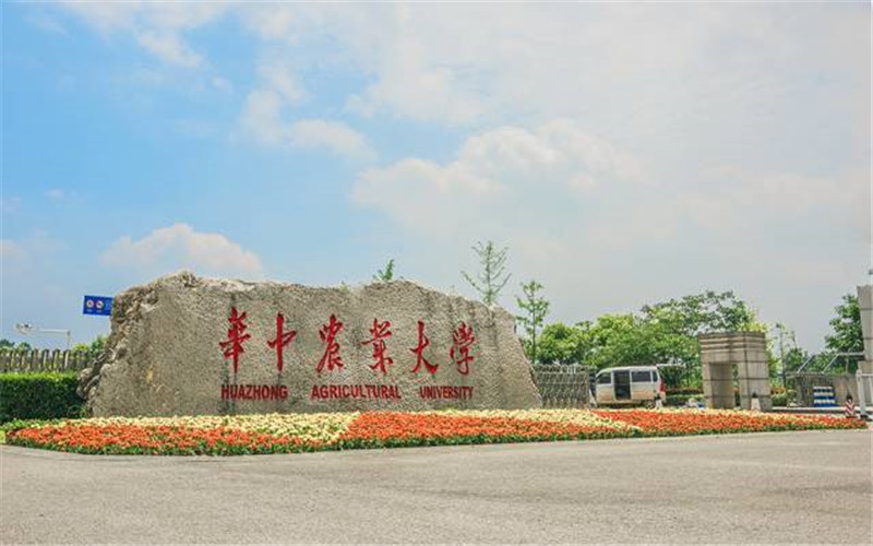 華中農(nóng)業(yè)大學(xué)成人高考網(wǎng)上報(bào)名